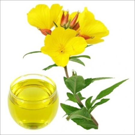 Evening Primrose Carrier Oil (Unrefined)